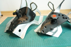 Borgiform2